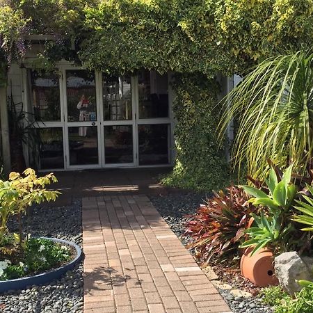 The Olive Grove Guest House Te Kopuru ภายนอก รูปภาพ
