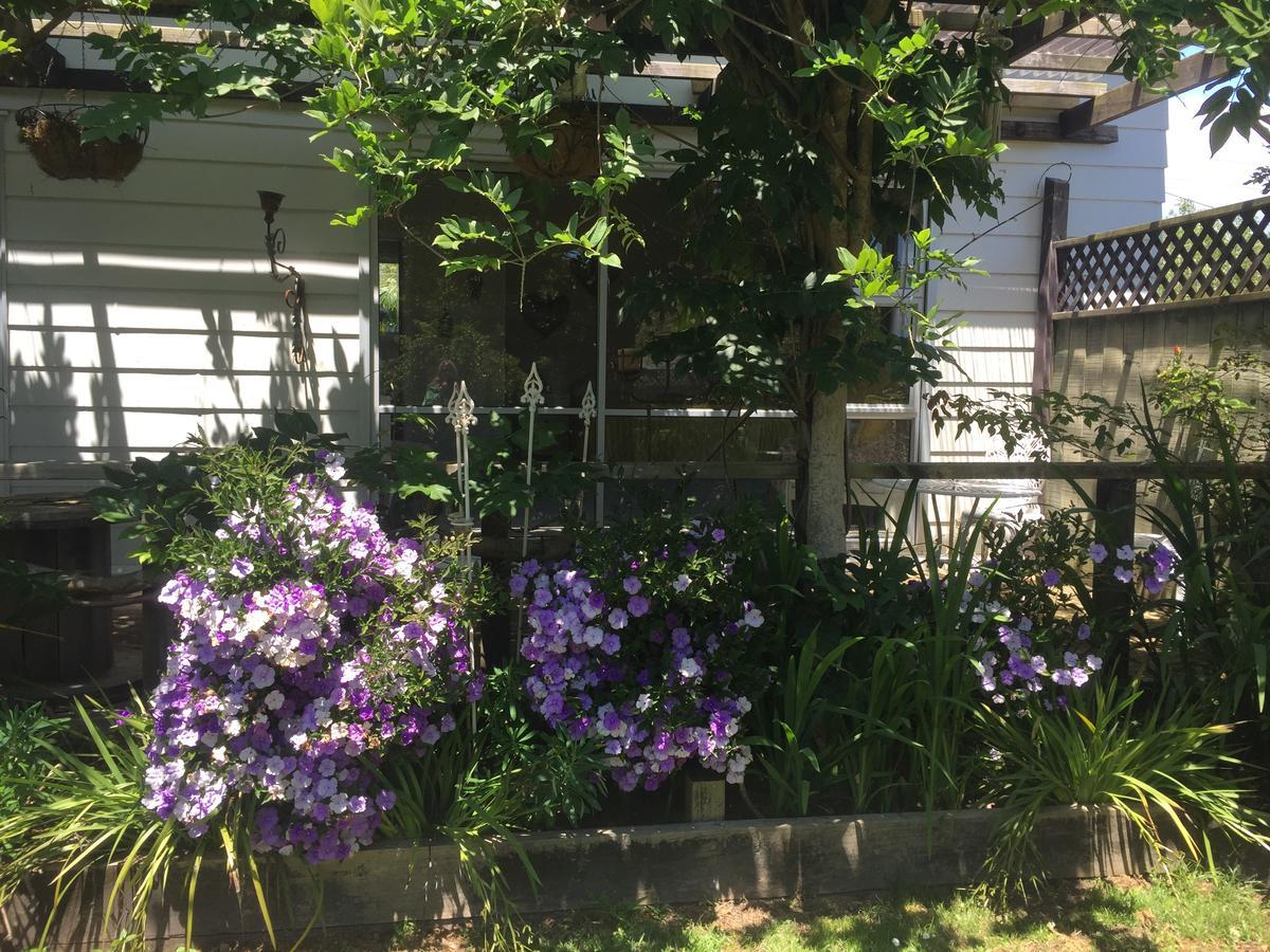 The Olive Grove Guest House Te Kopuru ภายนอก รูปภาพ